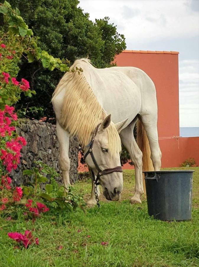 Quinta Da Falesia - Casa Amarela Ponta Delgada Exterior foto